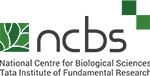 1754114040logo_6