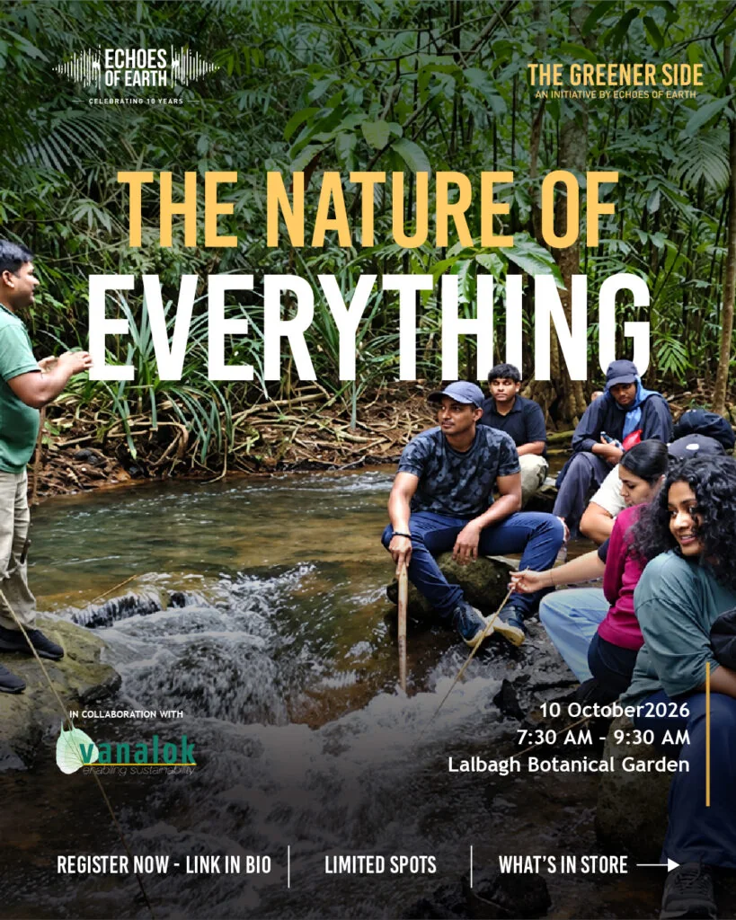 The Nature of Everything