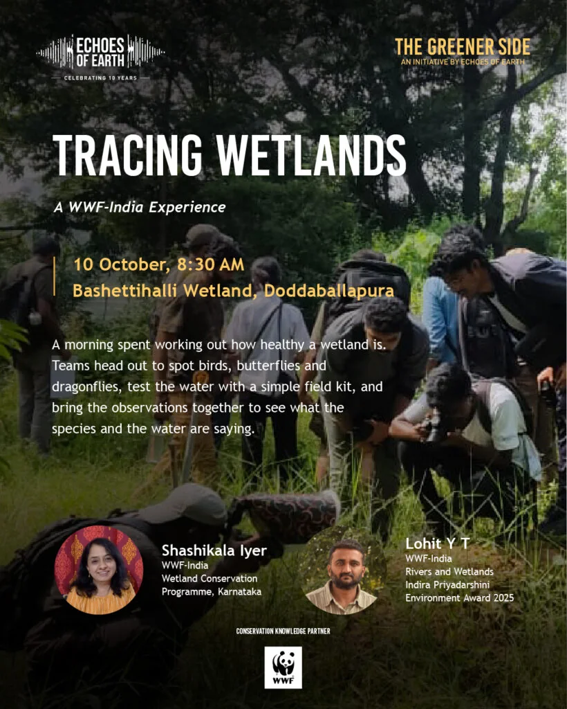 Tracing Wetlands