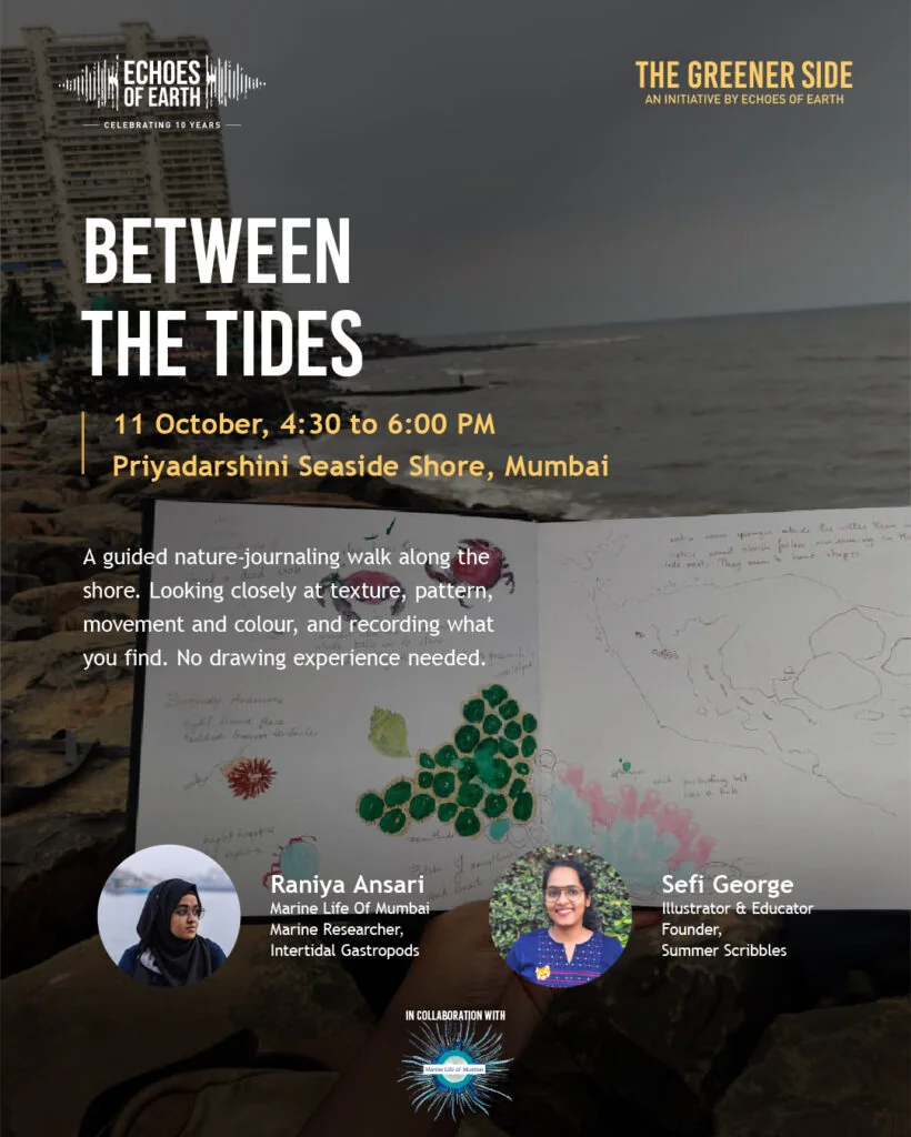 Between the Tides